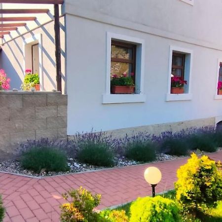 Wellness apartmán Bělá Decin Exterior foto